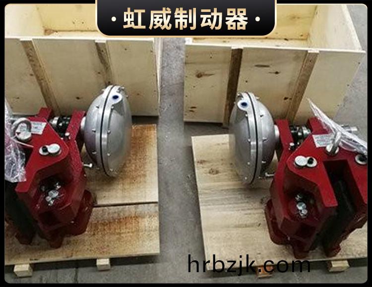 CQP20B-A氣動(dong)鉗(qian)盤(pan)式製動(dong)器